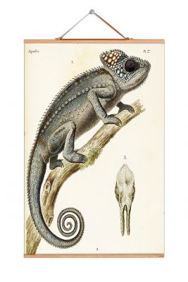 Animals Poster No 125 eicie SINGLE PIECES